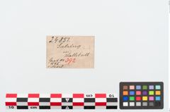 Etiketten zu Bronzerollenkopfnadel (NHMW-PRAE-024851)